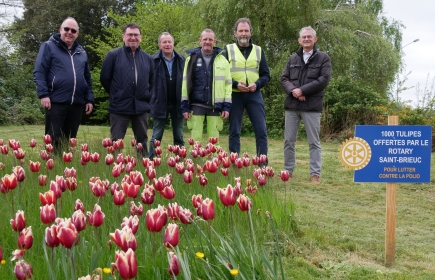 action tulipes contre la polio